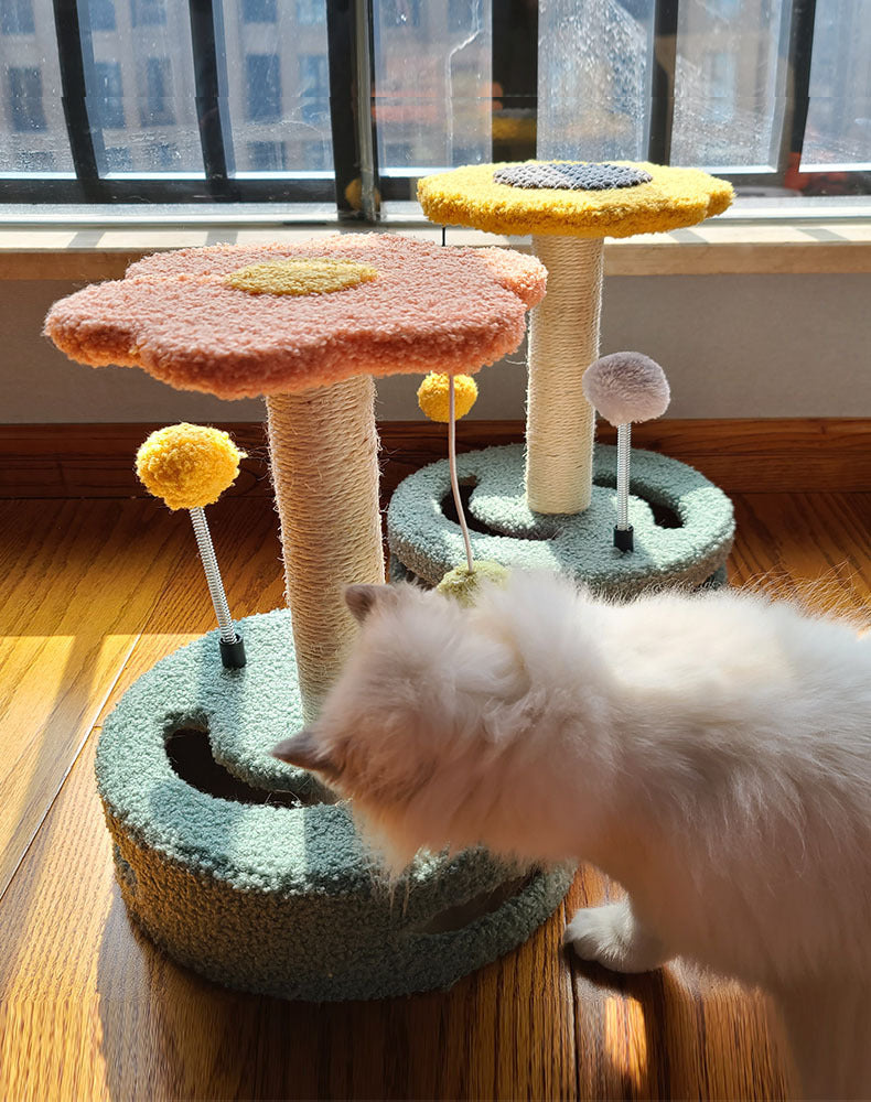 Cat Claws Toys