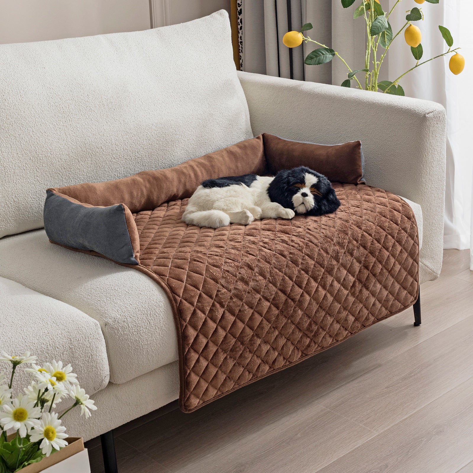 Sofa Bed Protector