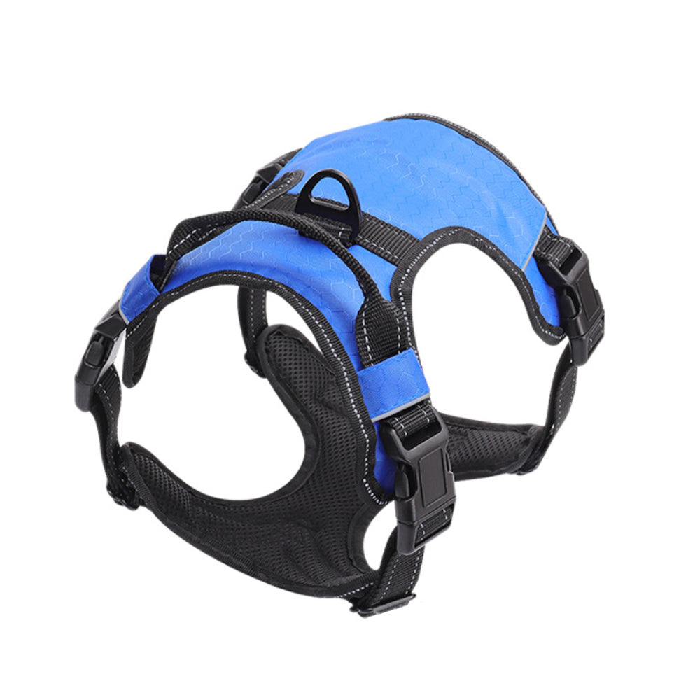 Pet Harness