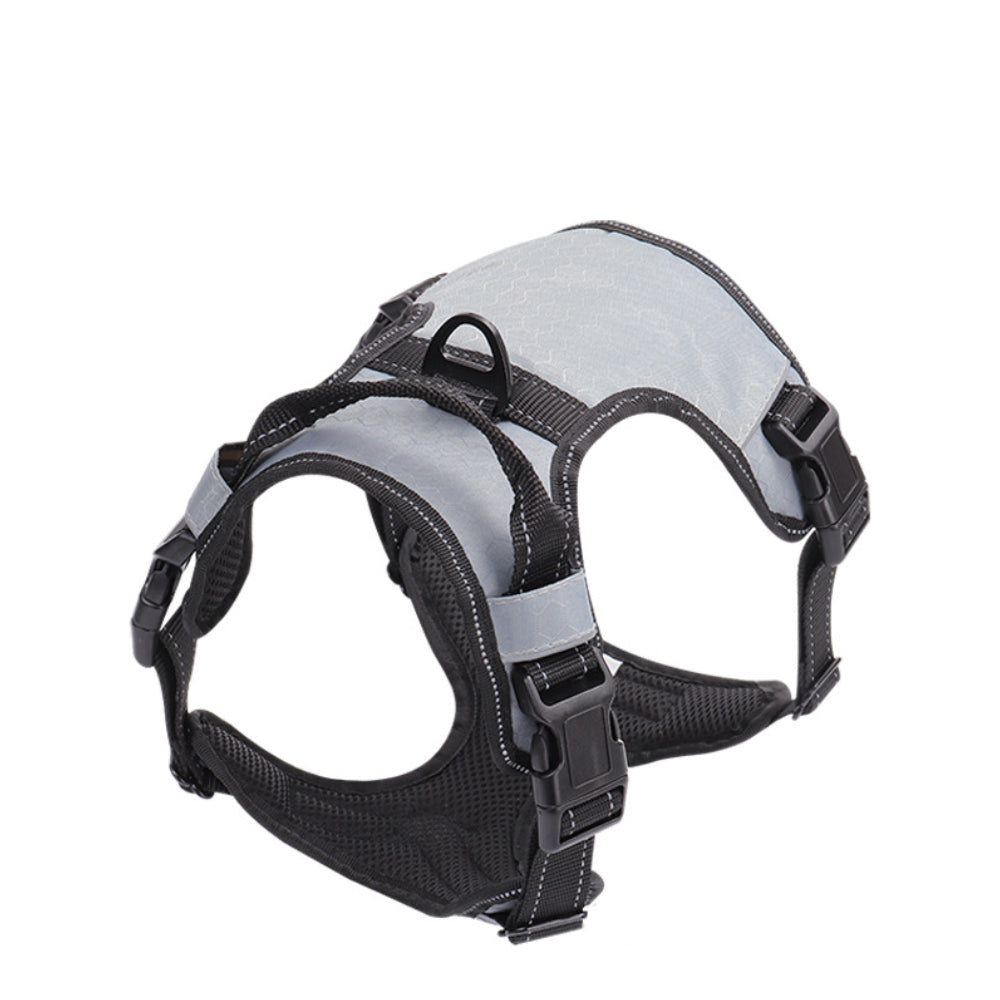 Pet Harness