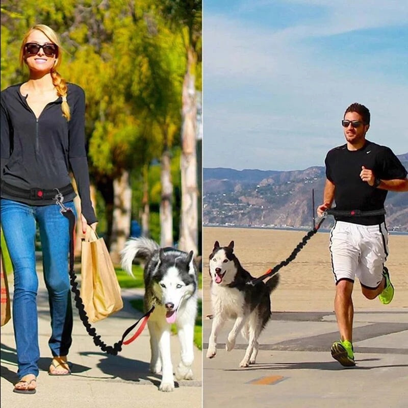 Pet Leash