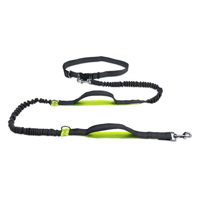 Pet Leash