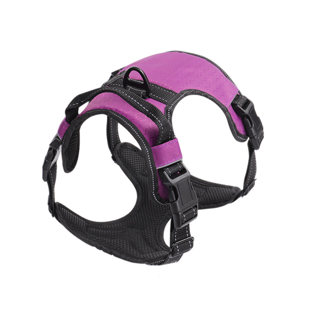 Pet Harness