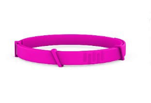 Anti-flea Collar
