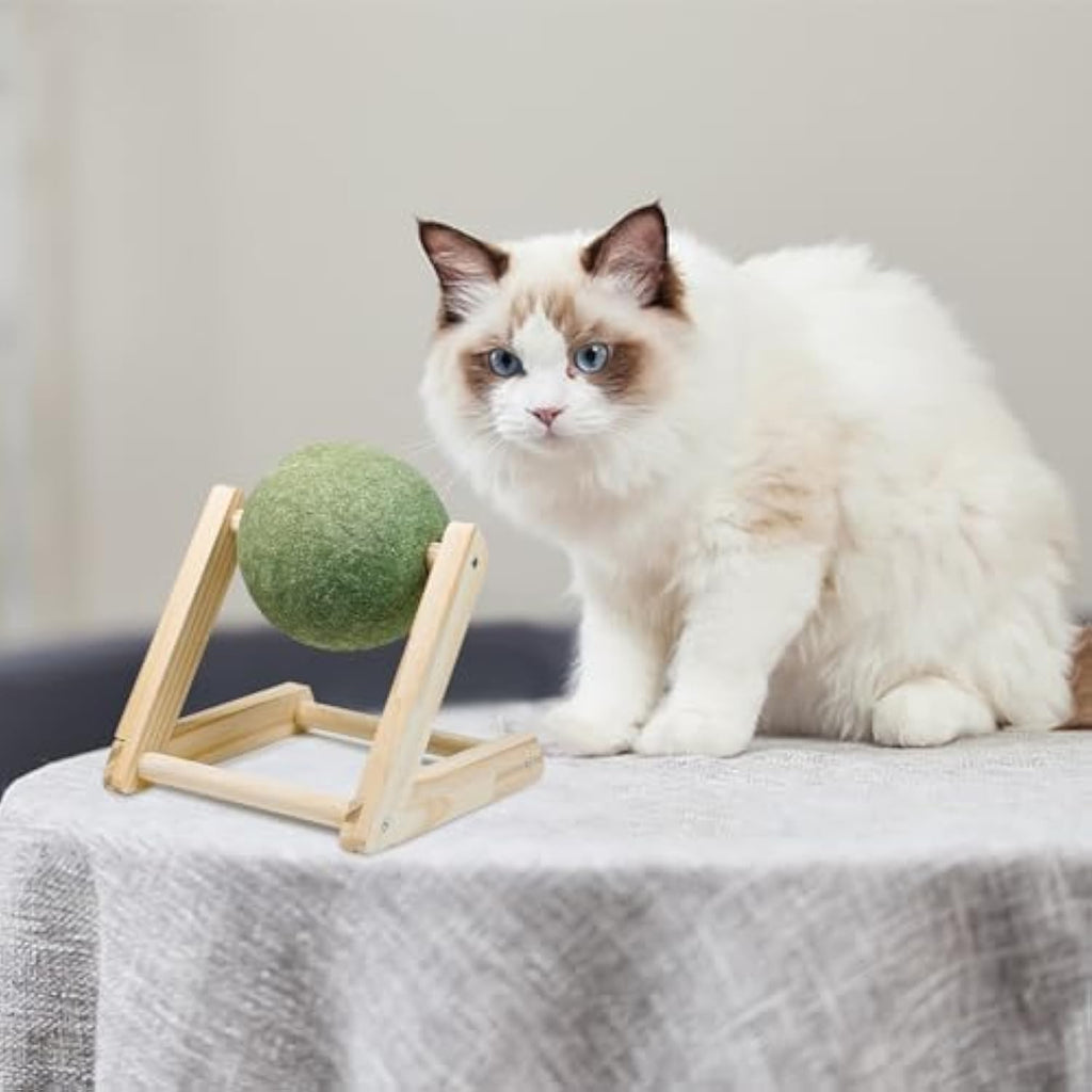 Catnip Balls