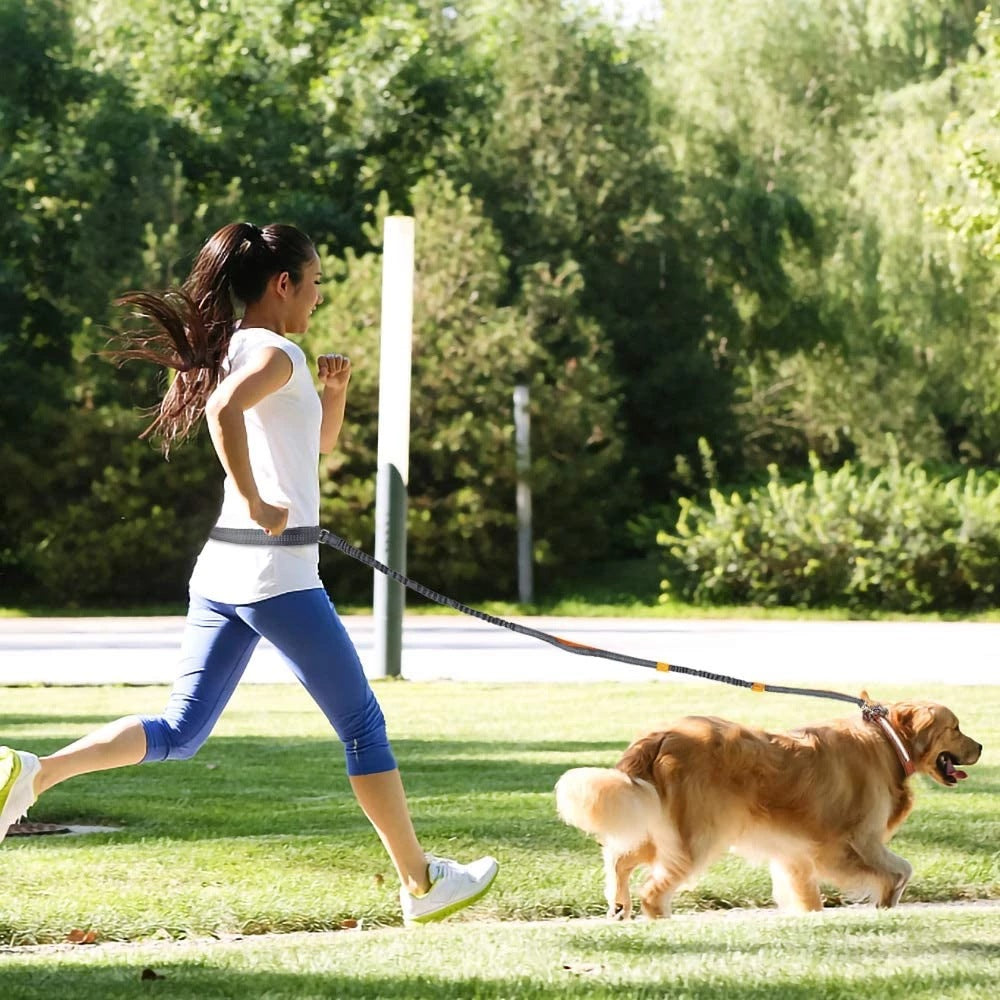 Pet Leash