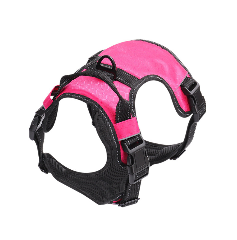 Pet Harness
