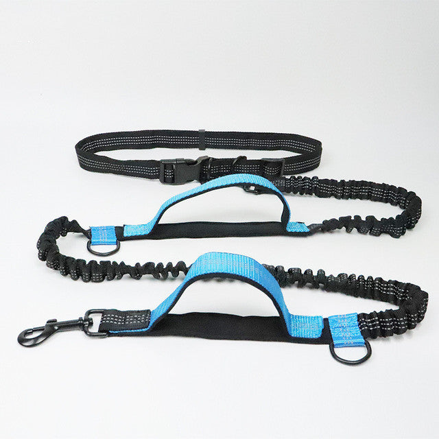 Pet Leash