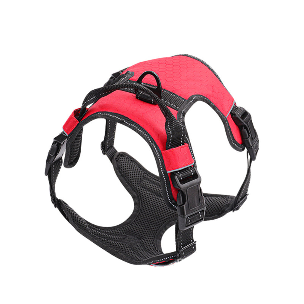 Pet Harness