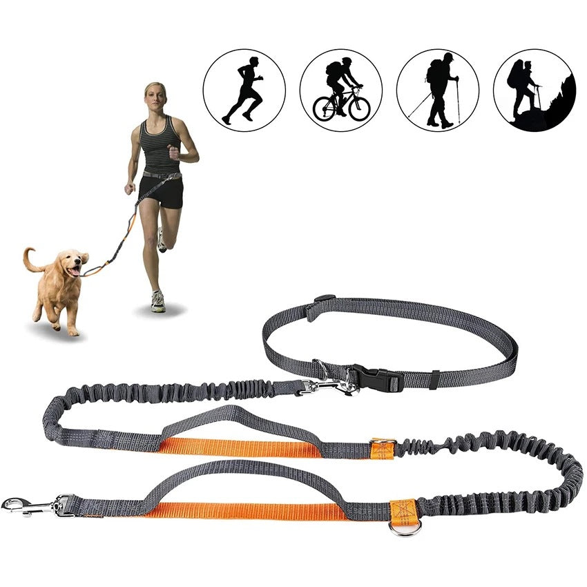 Pet Leash