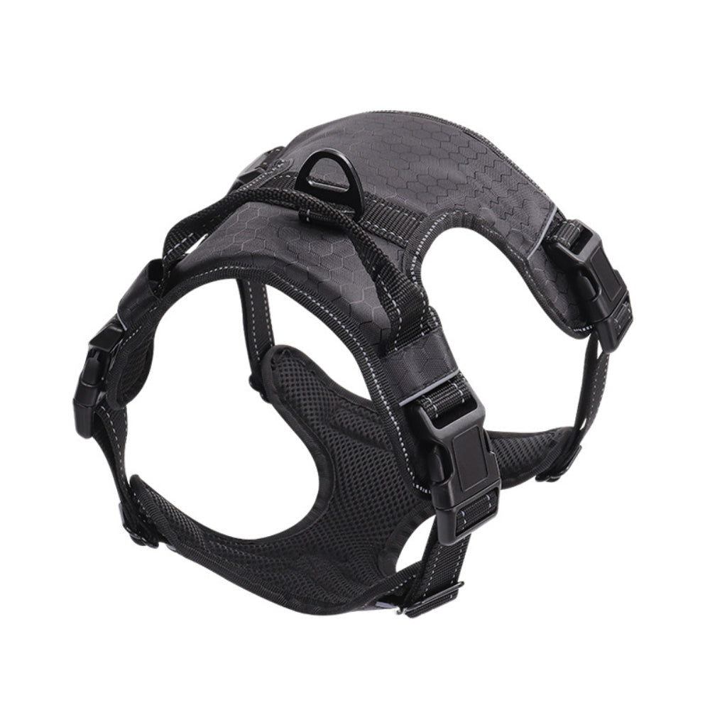 Pet Harness