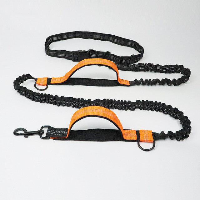 Pet Leash