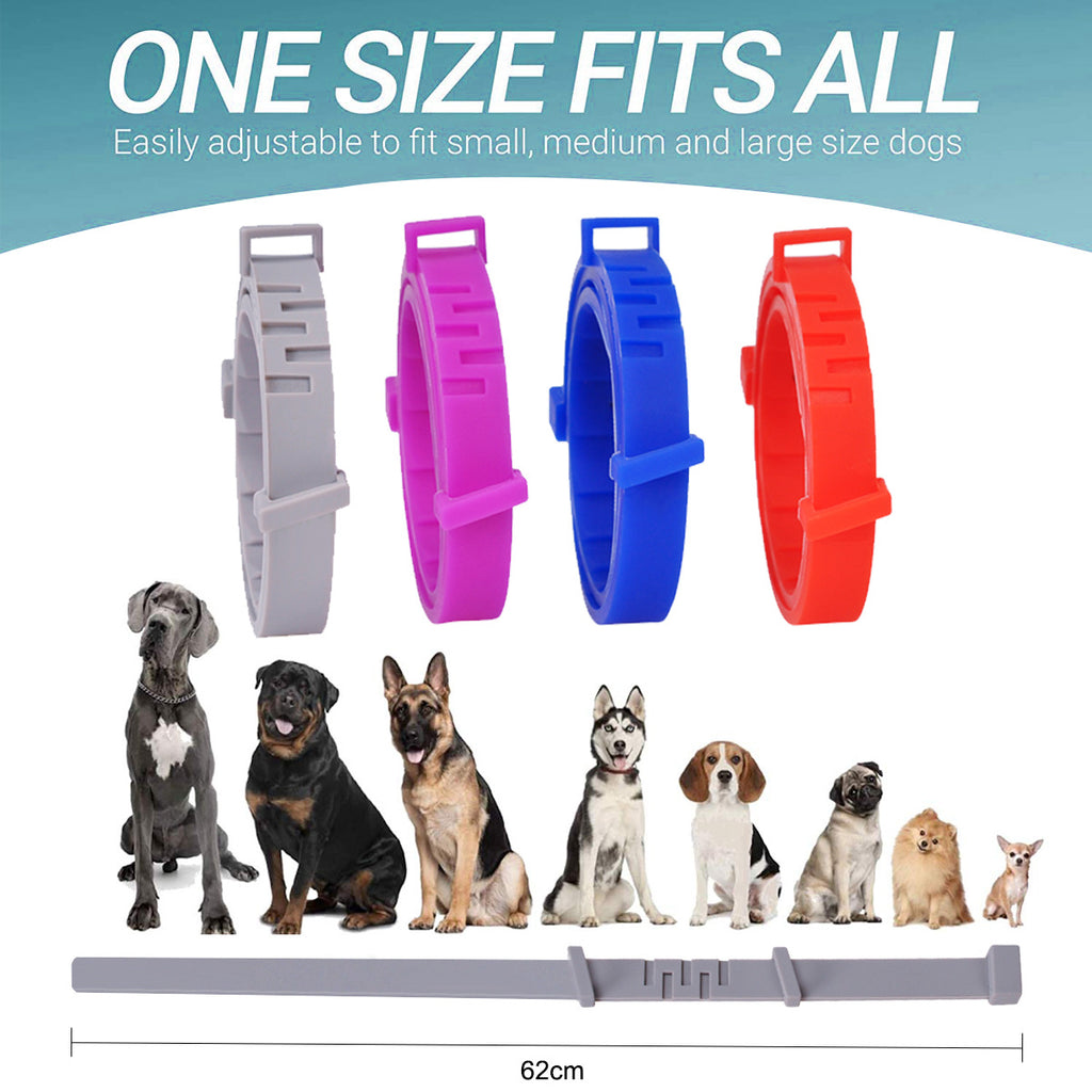 Anti-flea Collar